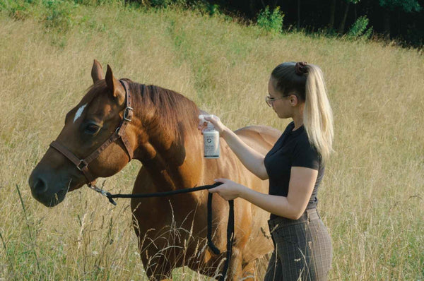 Horse Protection Spray (3x500ml)